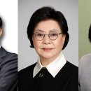 세종약품 이미지