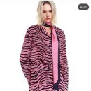 제시 뉴욕 이미지