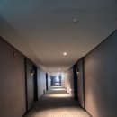 꽃지숙박 | 태안 아일랜드 리솜 S20 타워 클린 숙박 후기