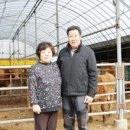 상일농장 이미지