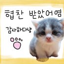 소소떡볶이청주 이미지