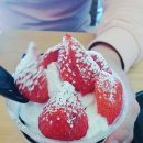 요거프레소 이미지