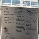 토성로 | 강릉 감자빵 강릉 시내 빵맛집 버니버니베이커리