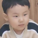 그림동화in호반어린이집 이미지