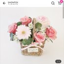 스노우폭스제주 이미지