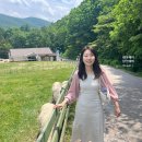 제이목장 | 국내여행 강원도가볼만한곳 🐑대관령양떼목장🐏 아이들 데리고 나들이가족여행 추천
