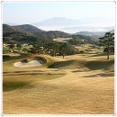 아도니스 이미지