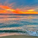 송정공인중개사사무소 이미지