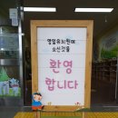 영일유치원 이미지