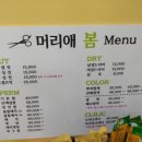 머리애봄 이미지