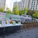 두레인력 이미지
