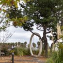 카페 루아 이미지