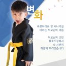 용호태권도체육관 이미지