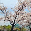 서운교 이미지