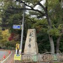 석남사석탑 | [어르신에 충성] 석남사의 가을 풍경에 젖어 들었다