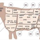 갈비담 이미지