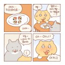 틴틴피자 이미지