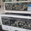 1박2일 충남여행 가볼만한곳 맛집, 대천 숙소 한화리조트