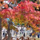 화랑체육공원 운동시설 이미지