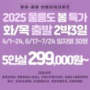 썬플라워 Daum카페