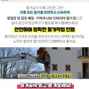 엠앤비정형외과재활의학과의원 이미지