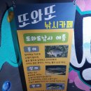 또와또 실내낚시터 이미지