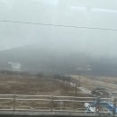 우리동네 뽑기방 | 혼펜 후기