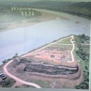 백일홍명품길 | 금년 장남 통일바라기축제 근황은? 서울근교 가족과 여행 유적지 곧 만개합니다 당일치기 가볼만한곳 후기