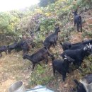 자연식당 이미지