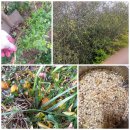 나오리농장 이미지