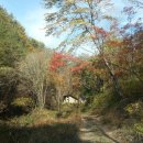 새방골산방 이미지