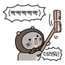 강릉회산LH천년나무2단지아파트 이미지