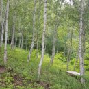 무릉도원면-44 이미지