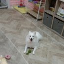 몽앤츄 이미지