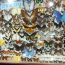 만천농장 이미지