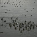 실과바늘 이미지