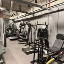 바디밸런스 이미지