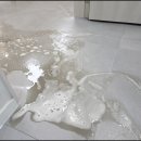 가게 오픈 준비하면서 맡겨본 부산 청소업체 부산 청소업체 청소 군들 입주청소 후기