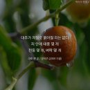 챠트&amp;영상 ) 후진 어깨걸이 1. . (가칭) ..실험 ex 40 ) 이미지