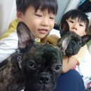미미토토 이미지