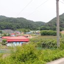 마동-13 이미지