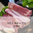 돗깨비 이미지