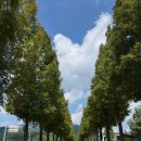 덕산성당 앞 | 예산 메타세콰이어길 치유의숲 부모님 모시고 국내 효도여행