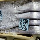 12월 2일 목포수협 경매현황 , 4미 특대먹갈치 중대먹갈치 30미병어 갑오징어, 풀치 세띠 갈치 판매합니다. 이미지