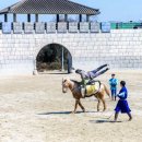라온더마파크 | 제주도 서쪽 놀거리 꼭 봐야하는 기마공연 추천 가족여행으로 라온더마파크