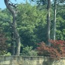 휴 빌리지 | 양평 더스타휴 빌리지 1박 2일 후기