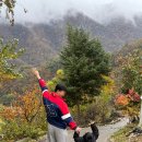 대숲여행 | 정선여행 하이원리조트 마운틴콘도 대숲마을 고한사북점 운암정 후기
