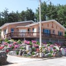 신월동011 이미지