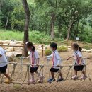 숲속애어린이집 이미지