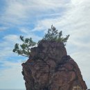 칠포1리 이미지